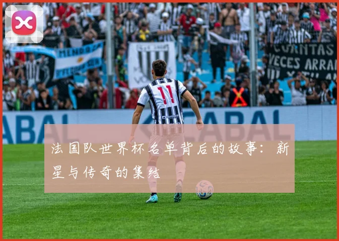 法国队世界杯名单背后的故事：新星与传奇的集结