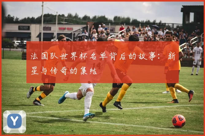 法国队世界杯名单背后的故事:新星与传奇的集结