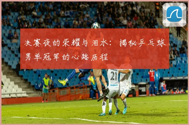 决赛夜的荣耀与泪水：揭秘乒乓球男单冠军的心路历程