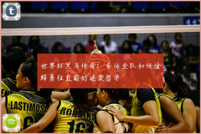 世界杯黑马传奇：专访全队如何诠释勇往直前的逆袭哲学