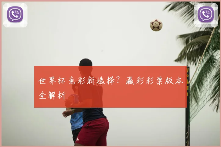 世界杯竞彩新选择？赢彩彩票版本全解析