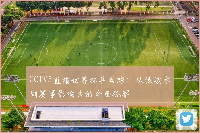 CCTV5直播世界杯乒乓球：从技战术到赛事影响力的全面观察